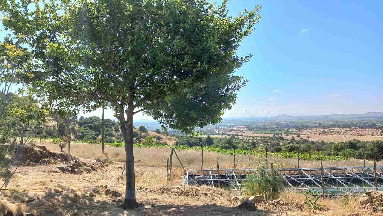 Acumulador de aguas
