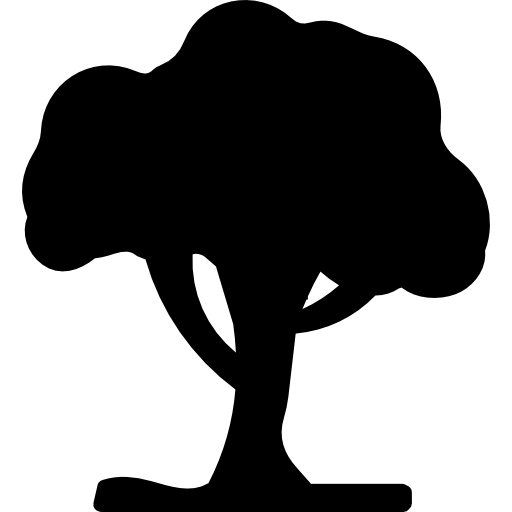 árbol