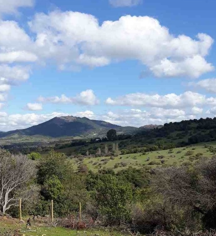parcela