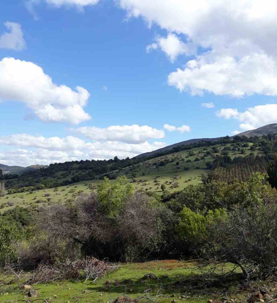 parcela