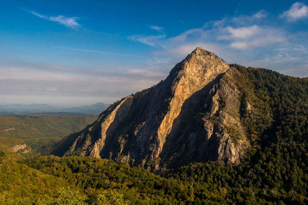 reserva nacional